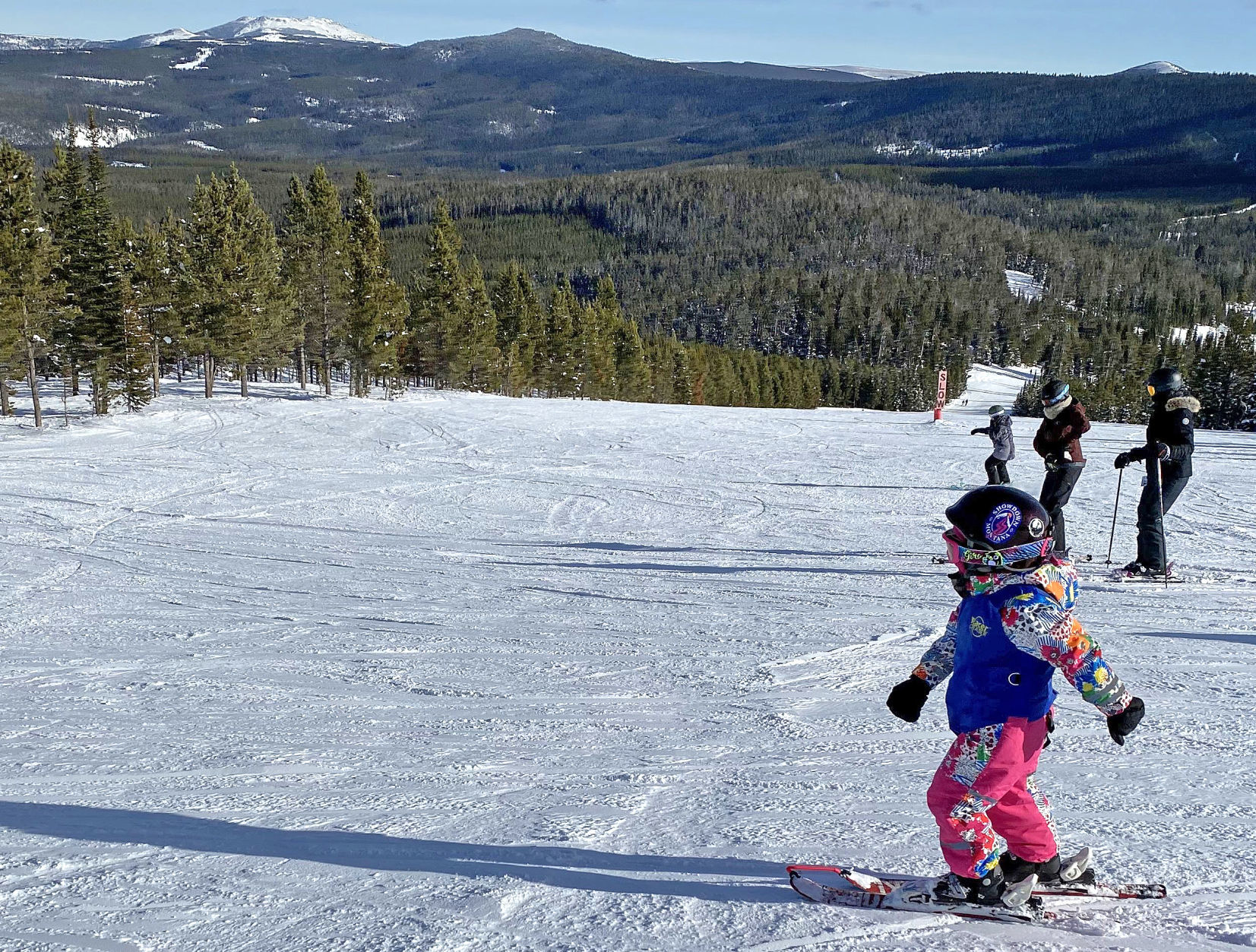 Colorful skier